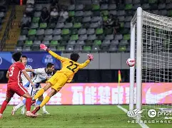 爱游戏-大连人绝杀贵州恒丰，取得宝贵的三分的简单介绍